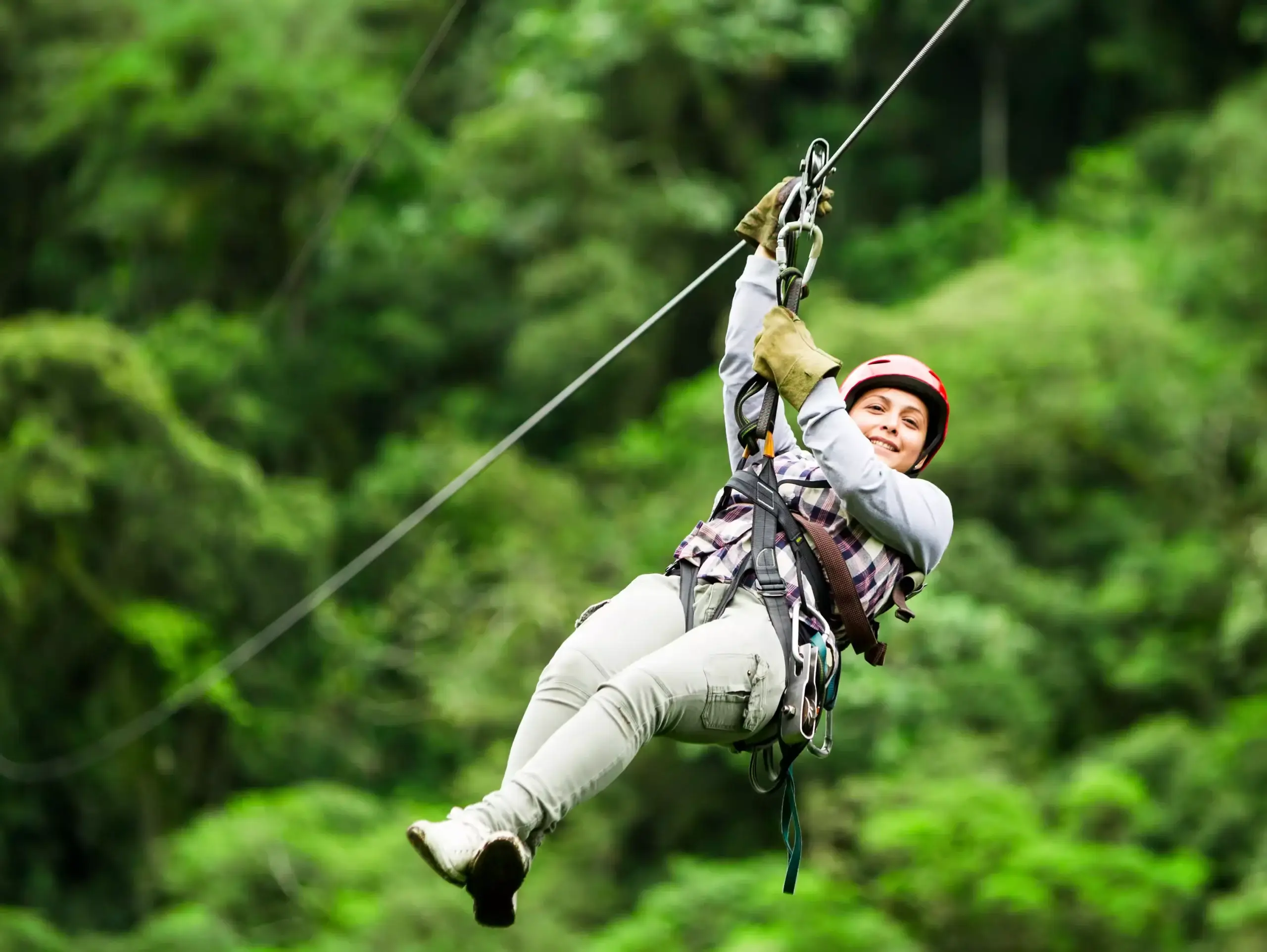 Canopy Zipline
